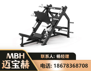 吉林45°倒蹬训练器